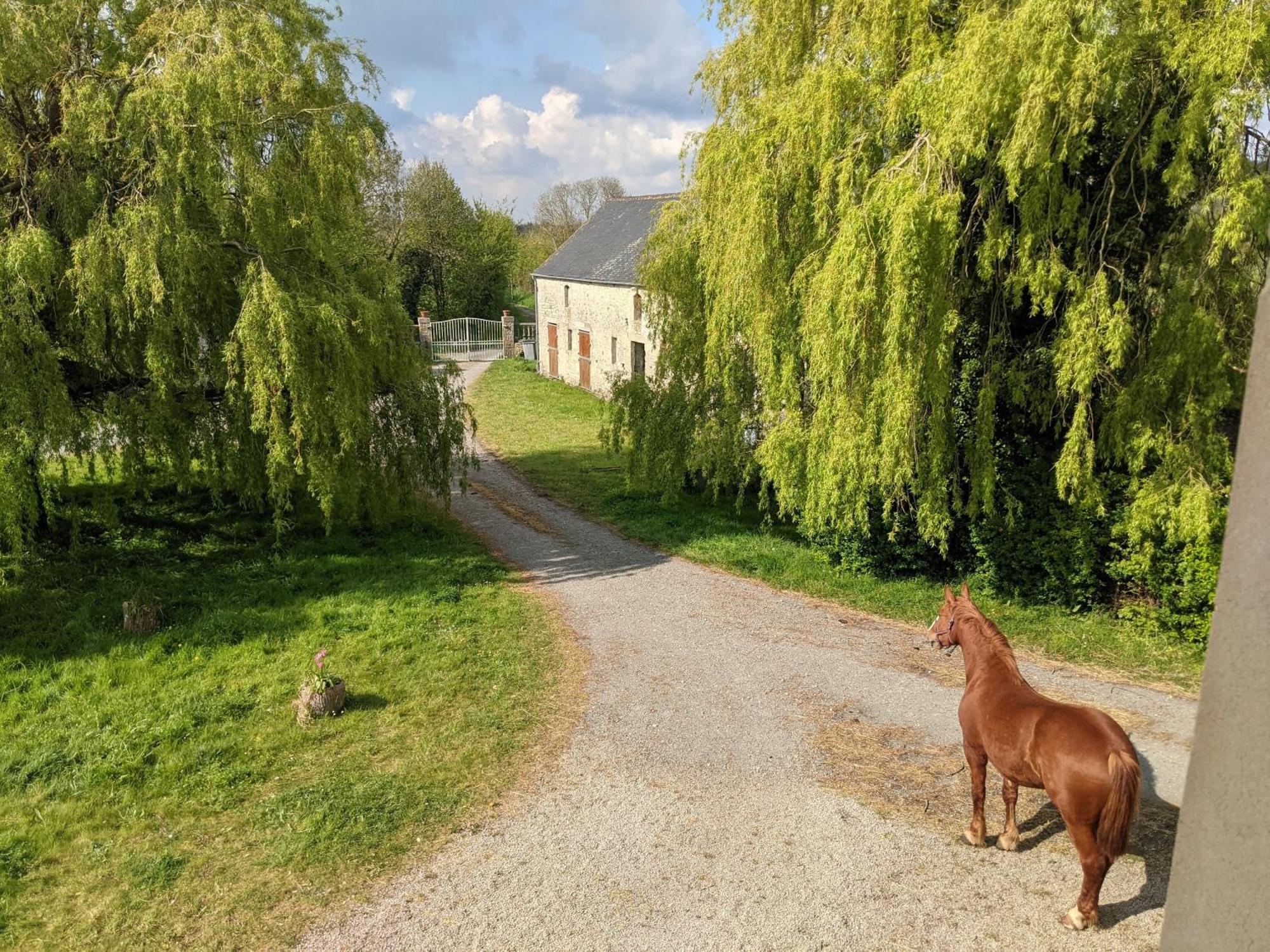 Ferme De Franqueville Sainte-Marie-du-Mont  Εξωτερικό φωτογραφία