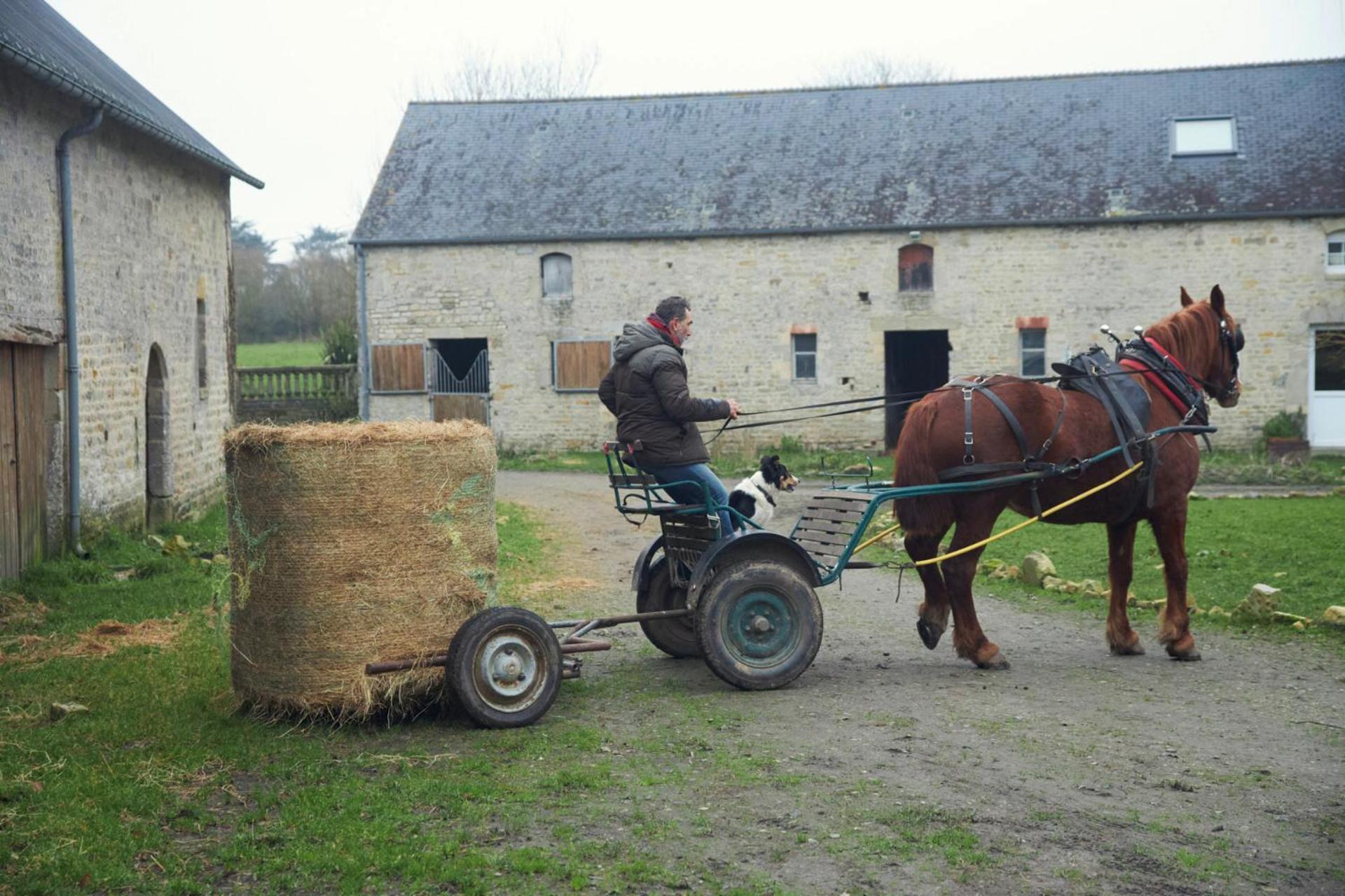 Ferme De Franqueville Sainte-Marie-du-Mont  Εξωτερικό φωτογραφία